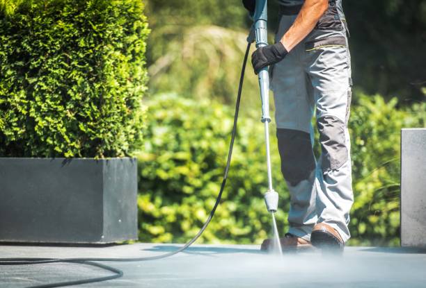 Best Concrete Sealing  in Fox River Grove, IL