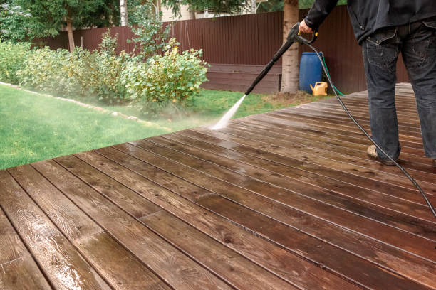 Best Pre-Holiday Cleaning  in Fox River Grove, IL