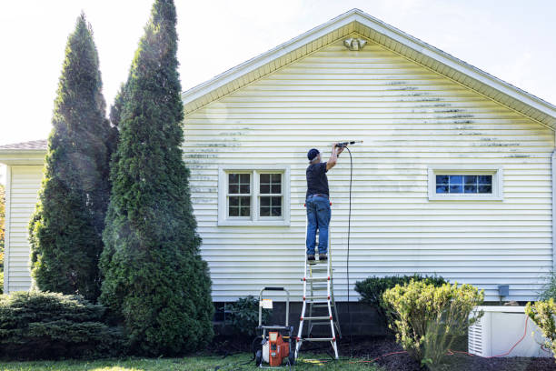 Best Spring Cleaning  in Fox River Grove, IL